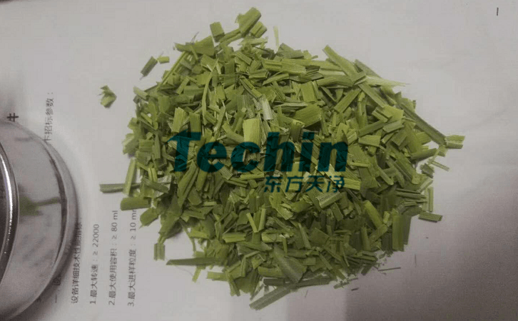 水稻葉子PROUMB官网下载前