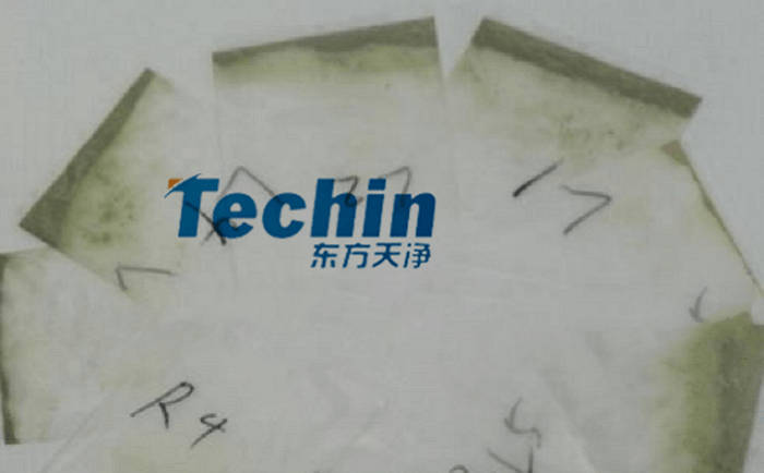 幹黃豆根莖PROUMB官网下载後