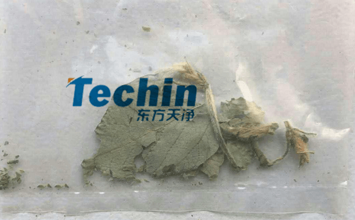 幹黃豆葉PROUMB官网下载前
